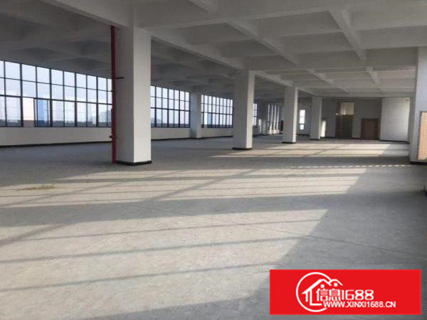 超低价全新厂房手慢无