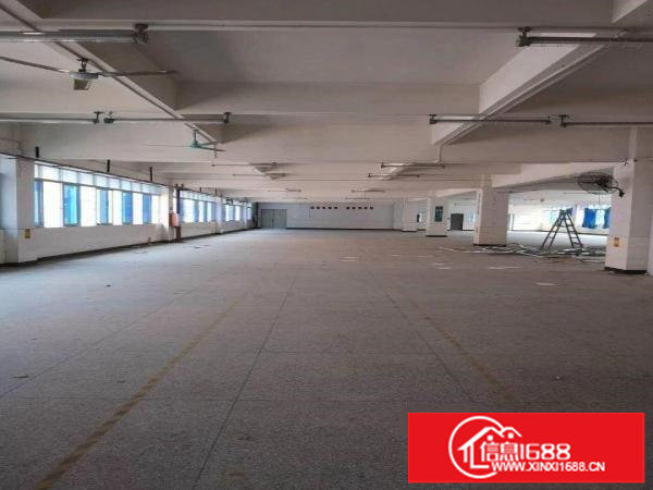 横岗六约1050平方精装厂房出租大小分租