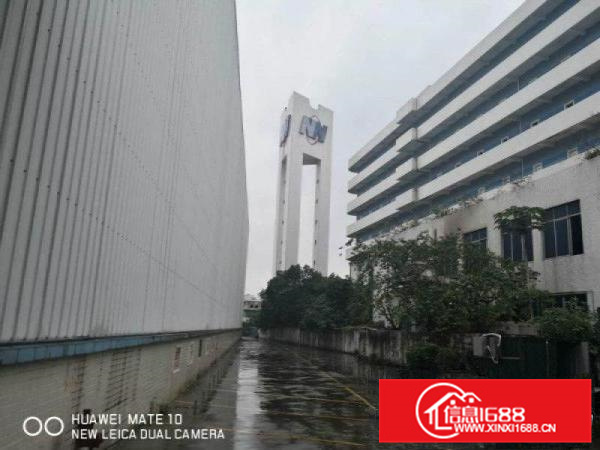 广东东部摄影基地10万平厂房出租500平起分临时租