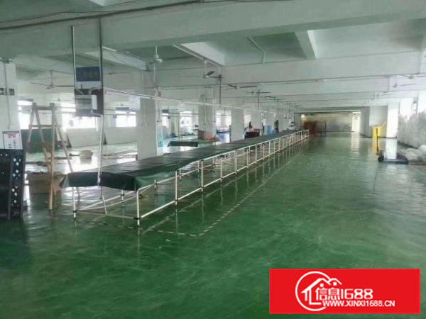 常平高速路口新出工业园分租一整层3000平方