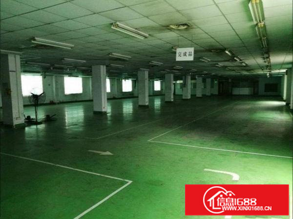 出租大朗镇松木山新空出楼上1200平米带装修，水电齐全地段好