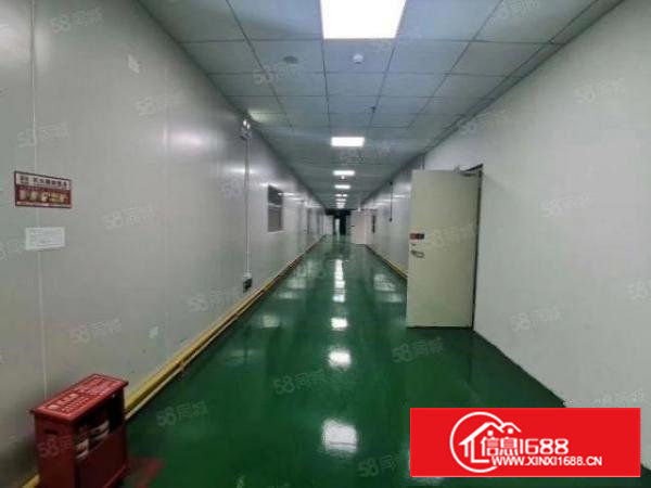 石岩新出3000平无尘车间，不要转让费厂房出租