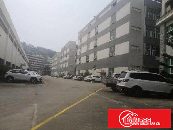 龙岗宝龙红本厂房出租2000至4万平