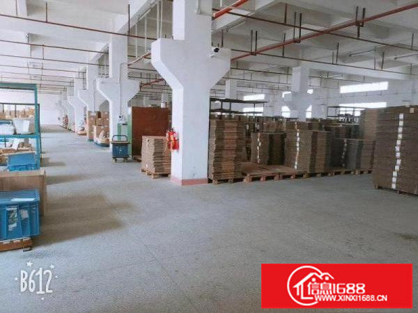 快来！空地可停飞机！坪山坑梓新空出一楼1000平红本厂房