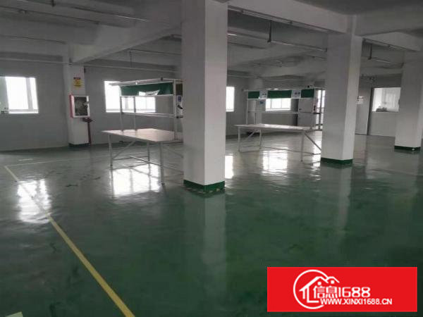 石排龙腾路边花园式厂房三楼300平米招租现成水电装修研发办公