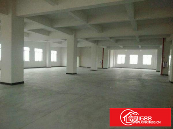 龙岗区五联新出一楼高6M厂房800出租