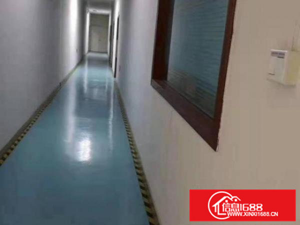 凤岗靠深圳平湖五金注塑模具一楼厂房1100平出租6米高