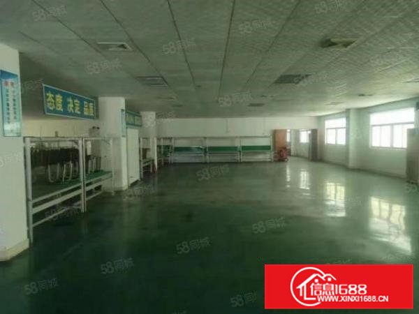 清溪三中新出原房东一层2楼1450平方带现成装修办公室