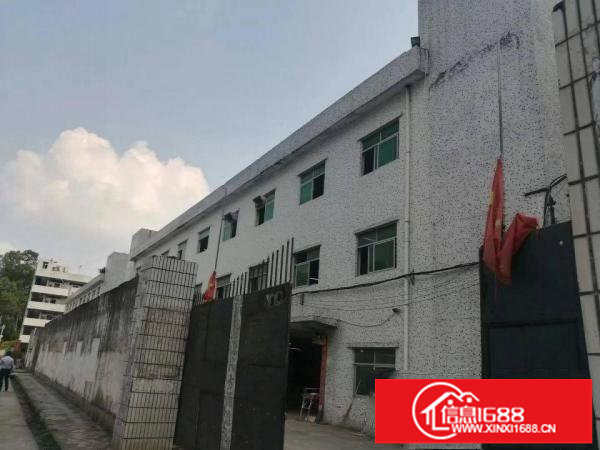 布吉丹竹头，3850平原房东厂房招租