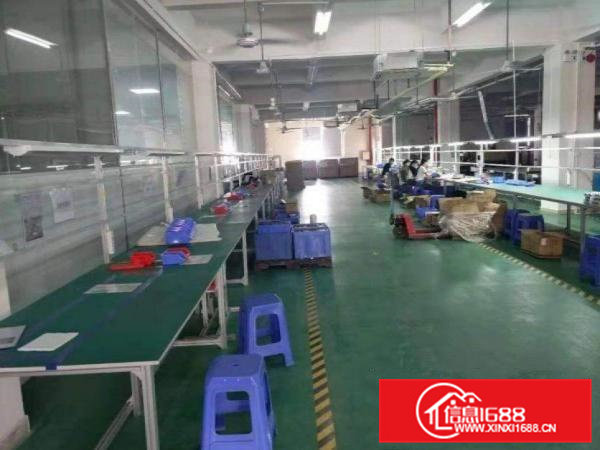 田心工业区空地大~出租1楼900平厂房，带办公室