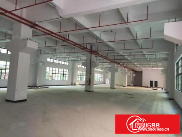 新出独院3800平方厂房出租可以分租