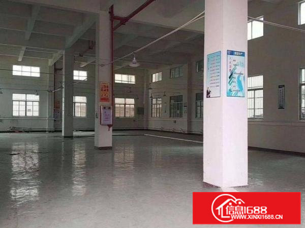 长巷新出一楼1550平方，厂房现成装修