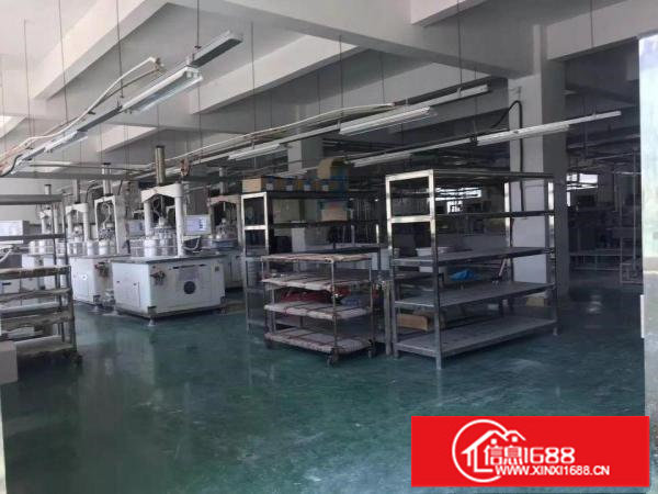 观澜梅观高速出口独门独院厂房1一3层7000平米