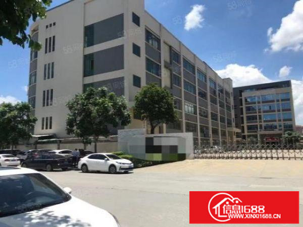 松岗原房东厂房600，800，500，平方出租大小分租