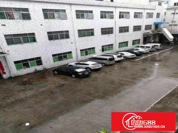 龙岗区坪地一二楼各1000平方厂房出租可以分租