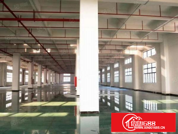 坪山大工业区红本厂房花园式工业区带精装修办公室车间