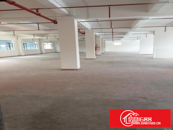 龙岗中心城华夏动漫产业园独院厂房5000平米出租可分租