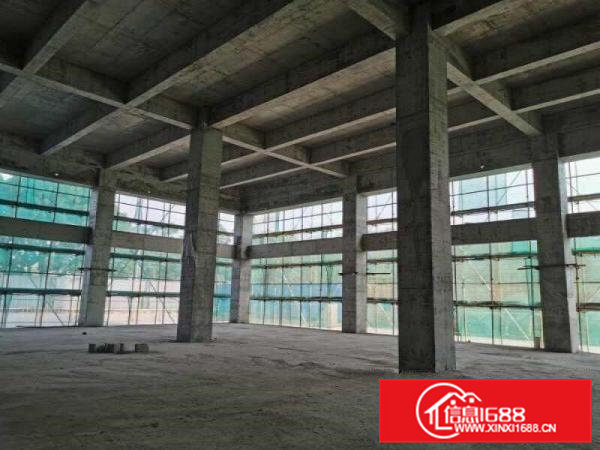 常平镇九江水村高速口原房东10万平米厂房可分租