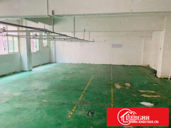 观澜观光路边新出楼山240平，租带17白菜价格，欢迎来电。