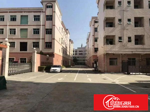 龙岗高新科技园4000至50000平出租