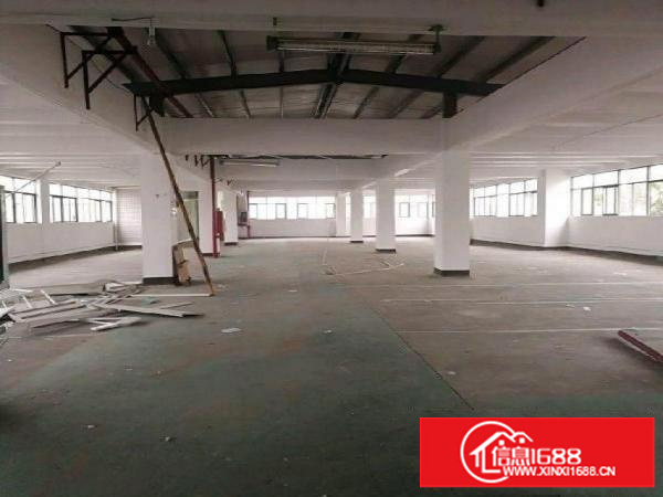 沙湾关口600厂房仓库招租