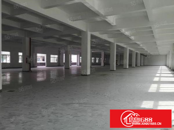 200平起分出租常平成熟工业园独院15000平园区空地大