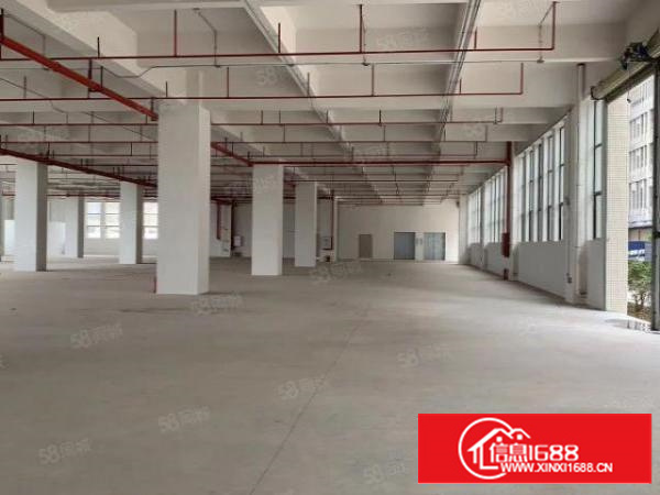 万江9成新园区标准1楼整层2200平方分租（另可分租）