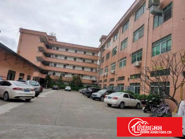 500平方起租桥头工业区精装修厂房仓库出租好进车空地大园区大