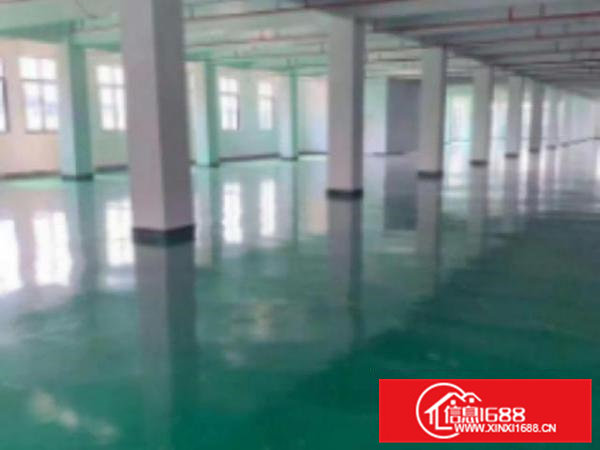 高埗新出标准厂房二楼1500平方米出租，带万级无尘车间