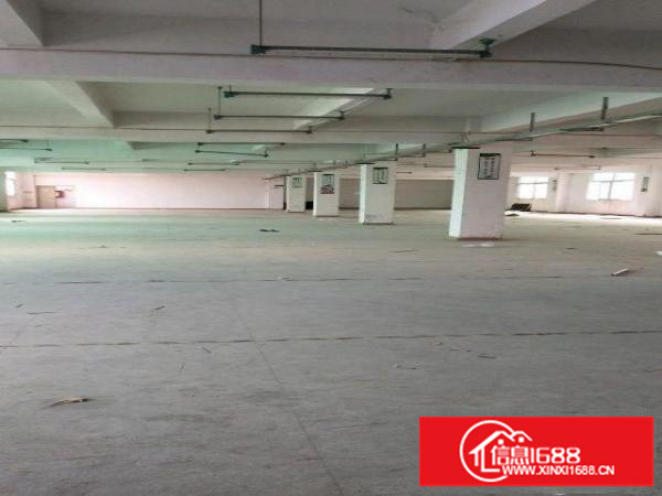 龙岗坪地六联工业园厂房出租4000平米可分租