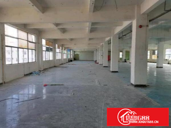 平湖地铁口1700平米工业厂房招租