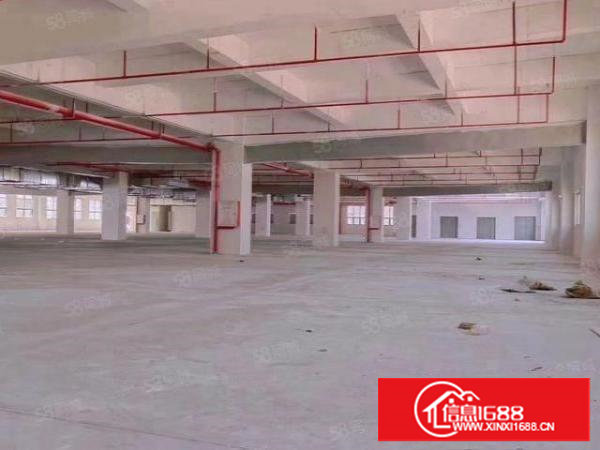 原房东新建厂房，看中价格好商量。