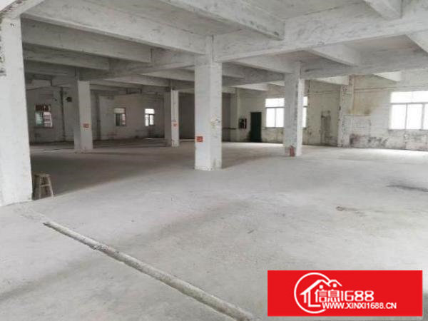 原房东安良700多平沙荷路边楼上厂房