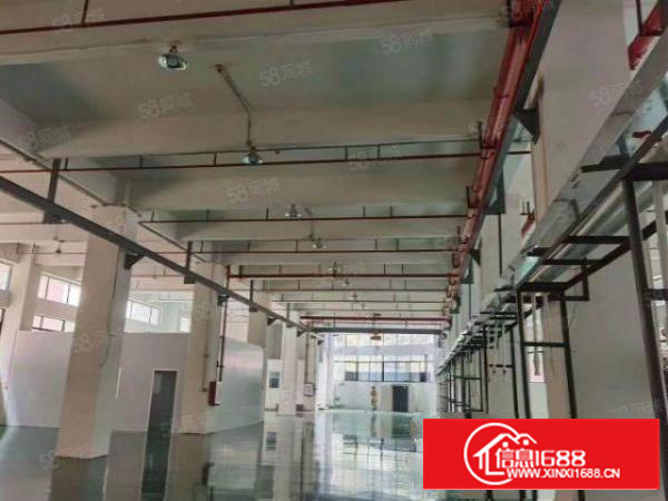 茶山镇工业园新出原房东标准一楼全新地坪漆，带航车。