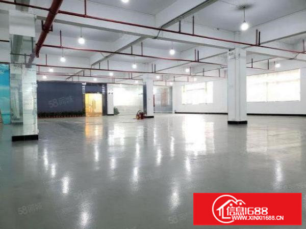 5千元全包大朗圣堂本地人二楼450平方厂房带电梯