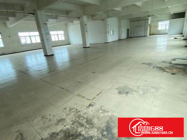 塘厦振兴围独院标准3楼980平方！全层地板砖办公室精装修