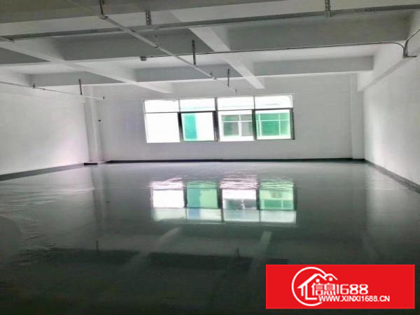 坂田亚洲工业园238平方米厂房出租