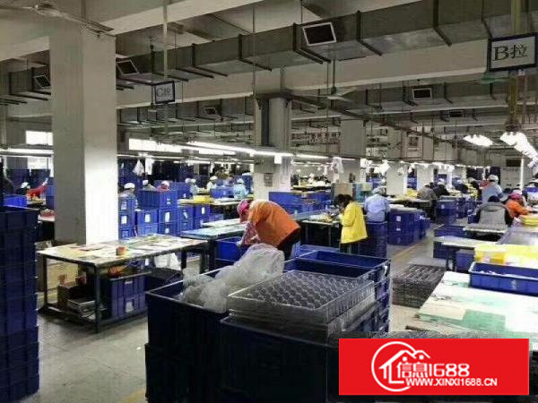 东莞塘厦蛟乙塘沙湖独院标准厂房办公楼装修洁净车间