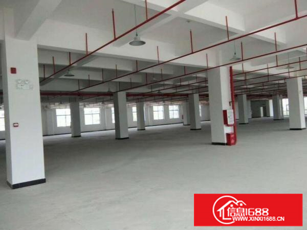 惠环惠城区三栋镇工业区独栋厂房出租19500平米