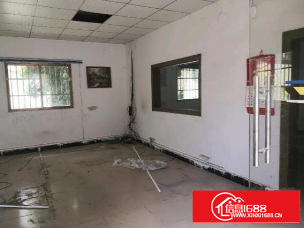 茶山原房东铁皮厂房出租无公摊送一百多平方小院子