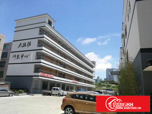 大浪南路实体墙仓库145平，带装修，33元