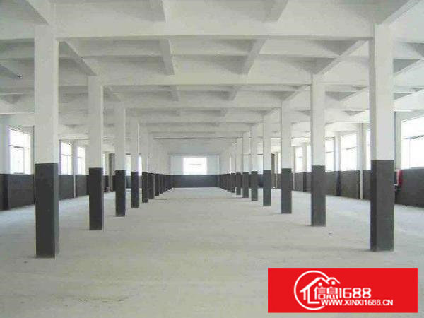 东坑租客分租一楼300平方，带地坪漆出租