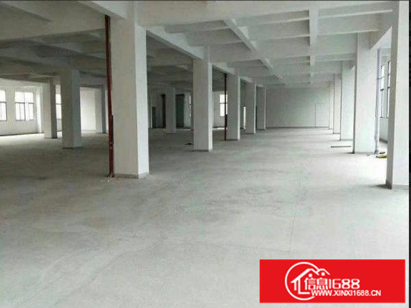 重磅出击！！横沥镇精品独院厂房出租11000平米