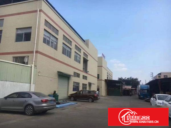 清溪独院厂房6389平方带装修和现成水电出租500平方米起分