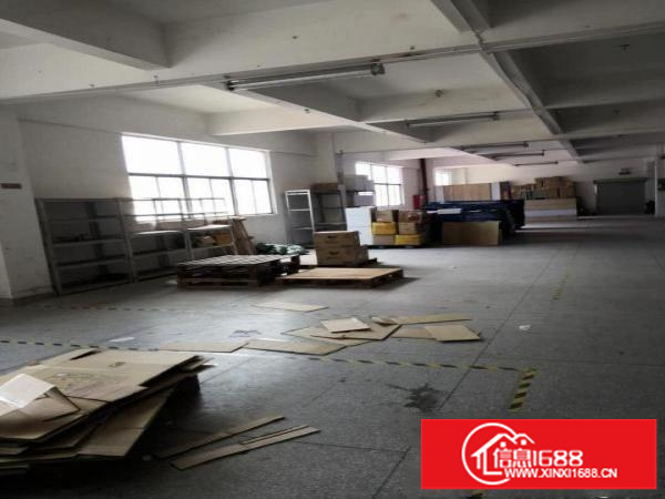 坂田一手厂房业主直租（佳兆业城市广场商圈）