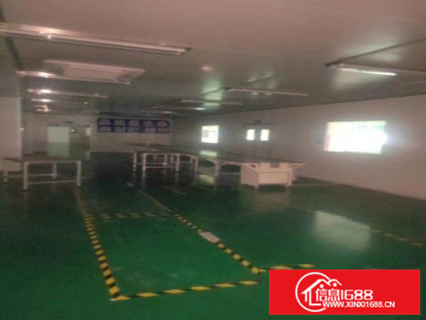 大朗镇新出十万级无尘车间厂房出租