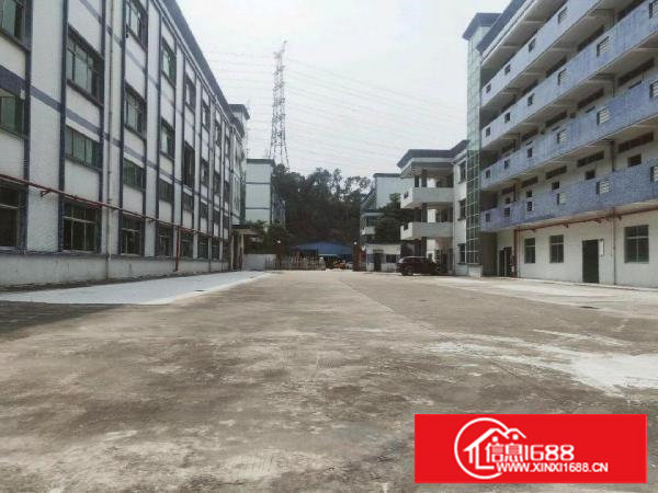 独院厂房招租《可分租》