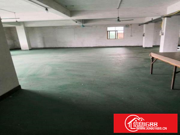 厂房，厂房有厂必有房，视野开阔，适合各种行业。