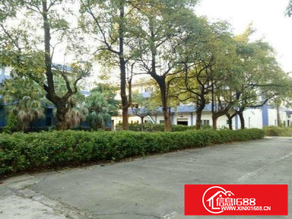 清溪靠塘厦13元楼上2600平方花园式厂房出租