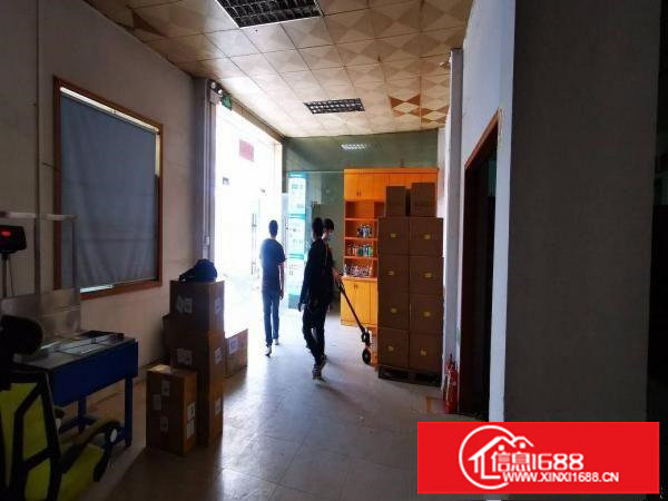 寮步新出原房东独院厂房红本可办环评有消防水电装修